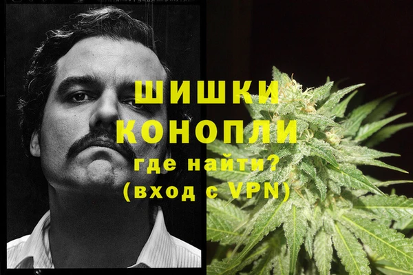 spice Куйбышев