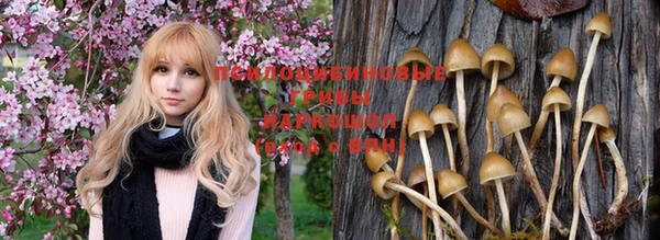 марки nbome Кукмор