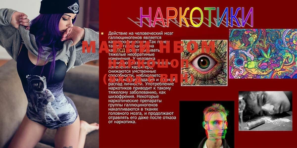 spice Куйбышев