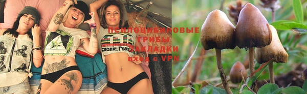 марки nbome Кукмор